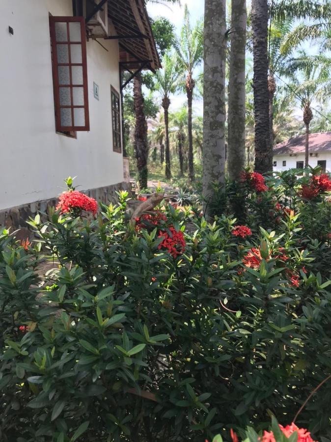 Hotel Palm Garden House Quang Tri Esterno foto