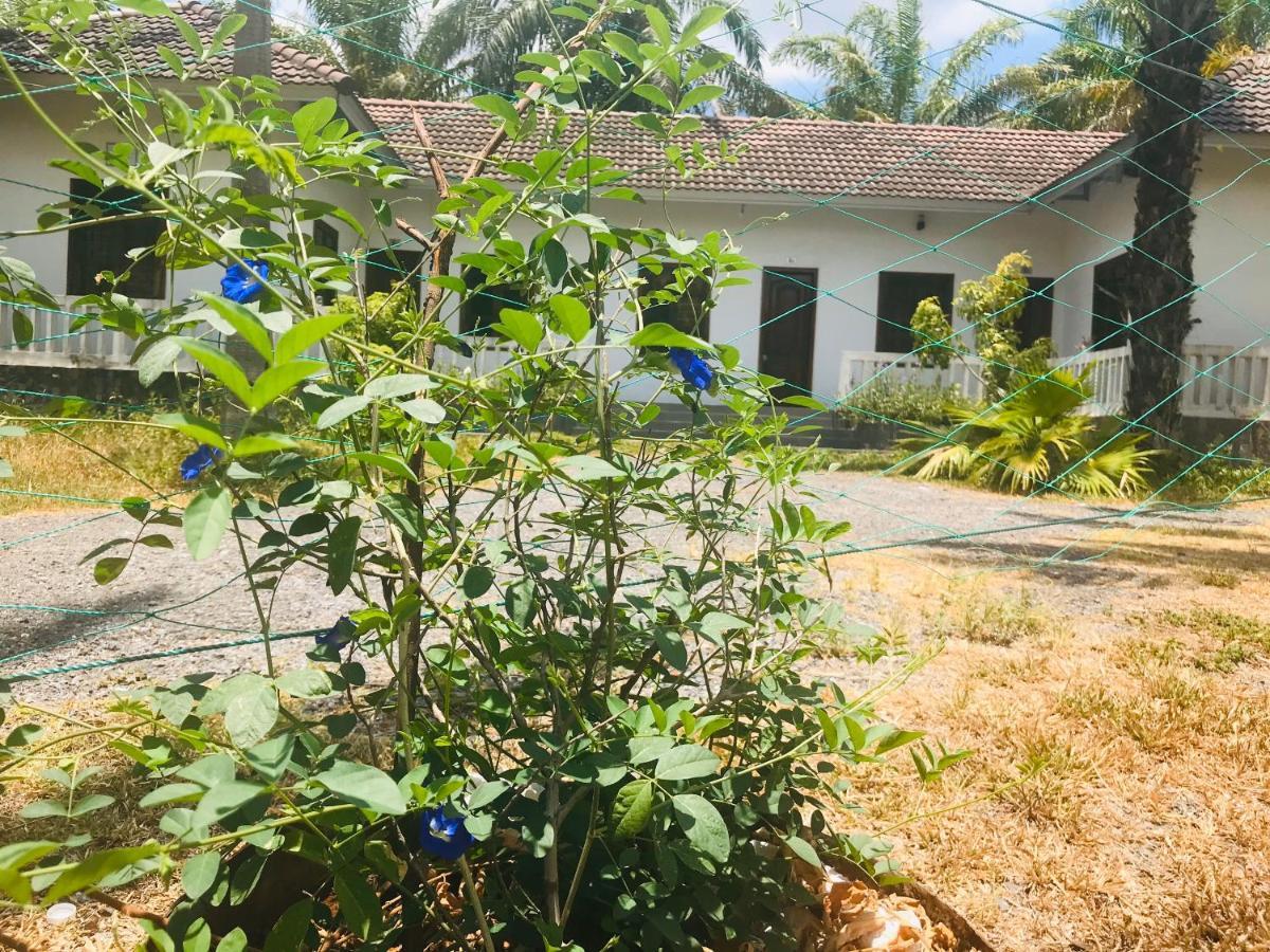Hotel Palm Garden House Quang Tri Esterno foto