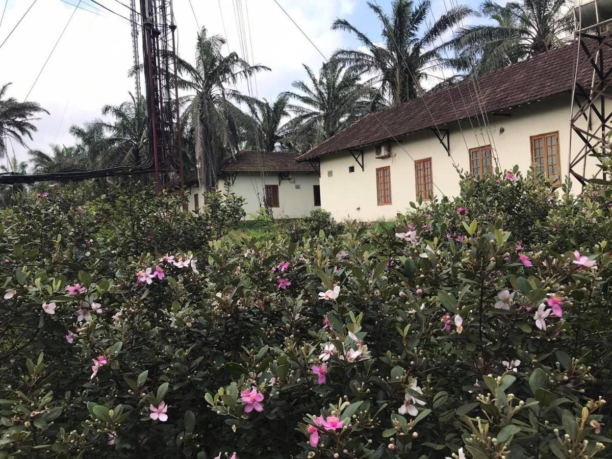 Hotel Palm Garden House Quang Tri Esterno foto