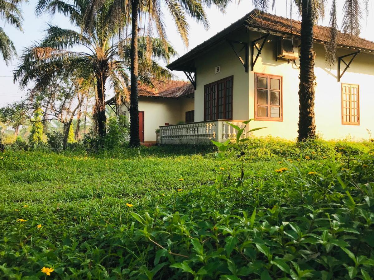 Hotel Palm Garden House Quang Tri Esterno foto